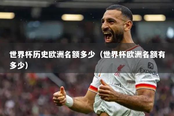 世界杯历史欧洲名额多少（世界杯欧洲名额有多少）