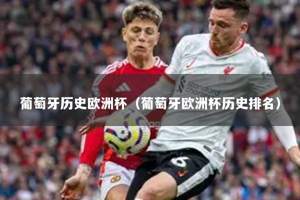 葡萄牙历史欧洲杯（葡萄牙欧洲杯历史排名）