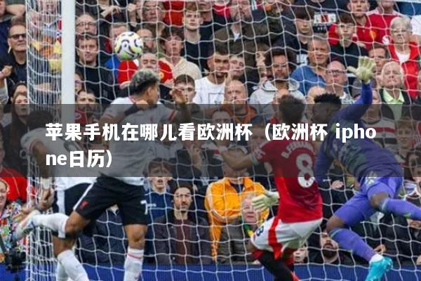 苹果手机在哪儿看欧洲杯（欧洲杯 iphone日历）