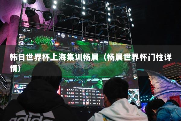 韩日世界杯上海集训杨晨（杨晨世界杯门柱详情）