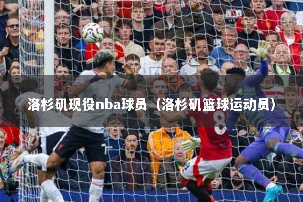 洛杉矶现役nba球员（洛杉矶篮球运动员）