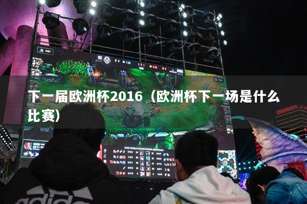 下一届欧洲杯2016(欧洲杯下一场是什么比赛)