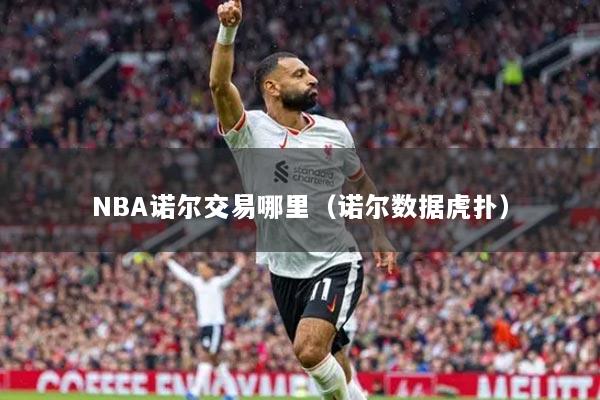 NBA诺尔交易哪里（诺尔数据虎扑）