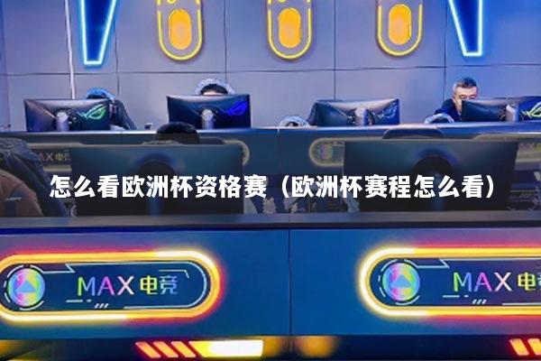 怎么看欧洲杯资格赛（欧洲杯赛程怎么看）