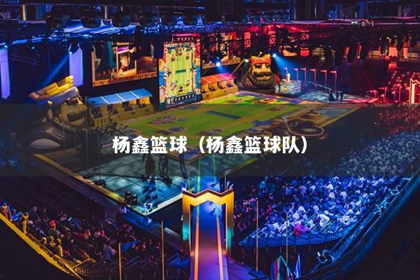 杨鑫篮球（杨鑫篮球队）